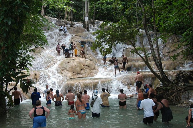 Jamaica Dunn's River Falls Party Cruise with Snorkeling - Who This Tour Fits Best, and Who Should Rethink It
