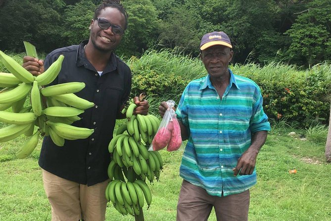 Jamaica Foodie and Cultural Experience & Konoko Falls Ocho Rios - Stop 2: Konoko Falls, birds, plants, and a mini museum pause
