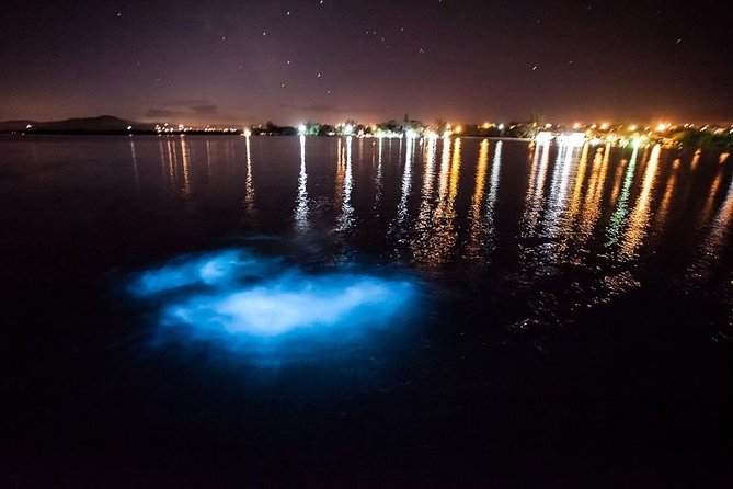Jamaica Luminous Lagoon Private Tour with Transportation - Why the Luminous Lagoon Glows at All