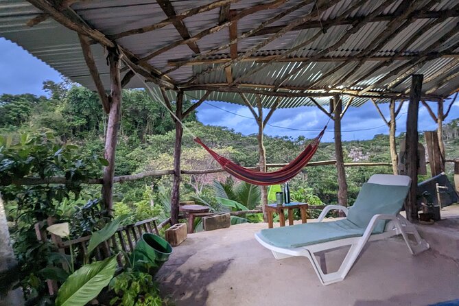 Jamaican Roots Tropical Farm Tour - Taste & Explore (Negril) 2hr - Optional Farm-to-Table Dinner: When It’s Worth Staying Longer
