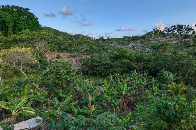 Jamaican Roots Tropical Farm Tour - Taste & Explore (Negril) 2hr - Price and Value: What $98 Gets You in Real Life