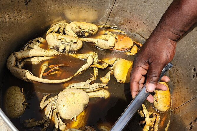 Jamaican Street Food and Rum Tasting Private Tour - Timing, pickup, and what can change on the day