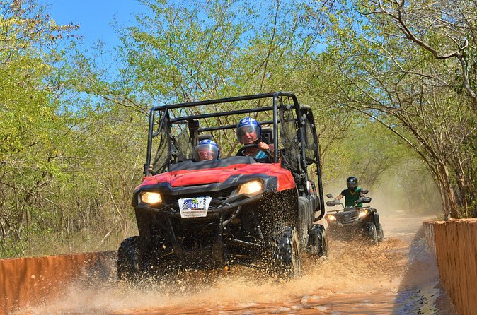 Jamwest ATV Tour to Salmon Point from Negril - The trail to Salmon Point: sandy washes, rocky bits, and mangroves