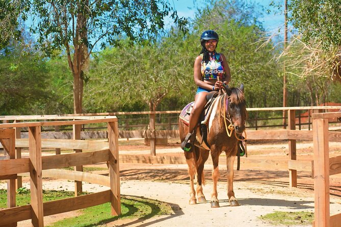 Jamwest Negril Zipline and Horseback Combo - Price and Value: What $169 Buys in Real Time