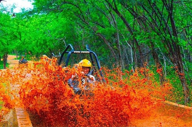Jamwest Off-Road ATV Adventure & JamCulture Tour Combo in Negril - The guide’s Jamaica commentary: where the ride turns into a lesson