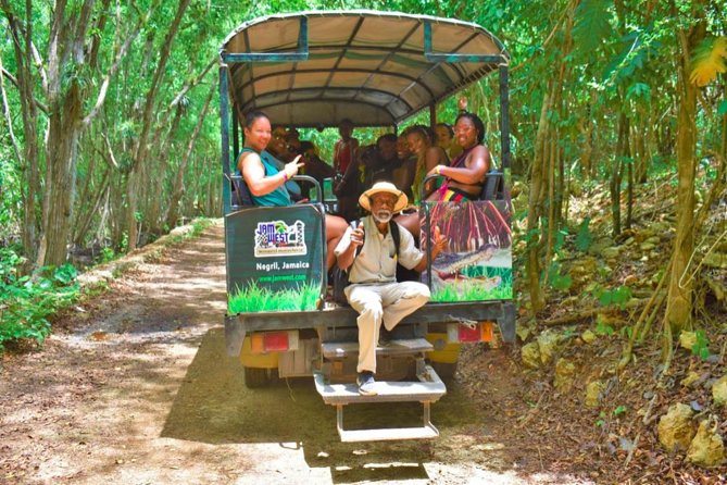 Jamwest: Zipline, Cultural Ride, and ATV Off-Road Adventure - Reggae Zip-Line Challenge: 60 feet up and 2000 feet of no-touch flying