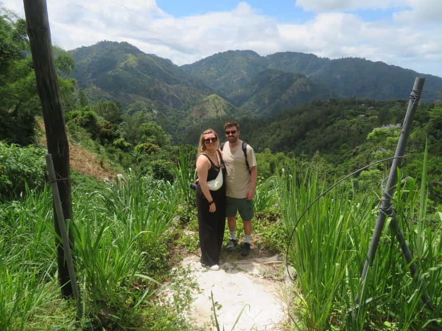 Kingston Blue Mountains Tour with Coffee Tasting - Should you book? Best fit, and who should pass