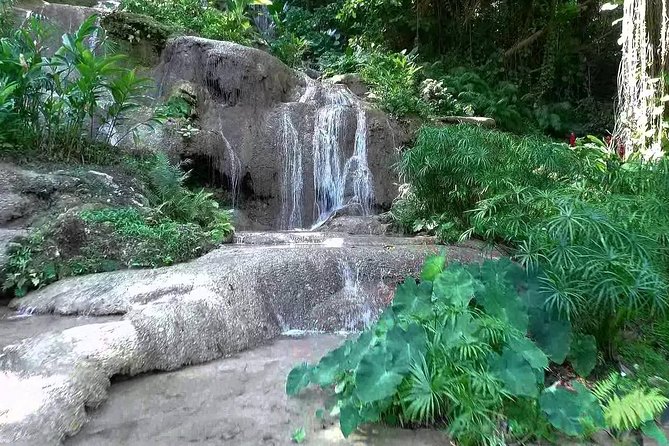 Konoko Falls and Tropical Garden Tour from Ocho Rios - Konoko Falls and Tropical Garden in a half-day: how it works