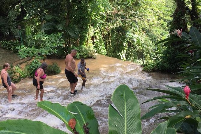 Konoko Falls and Tropical Garden Tour from Ocho Rios - Ocho Rios from above: views that feel like a reward