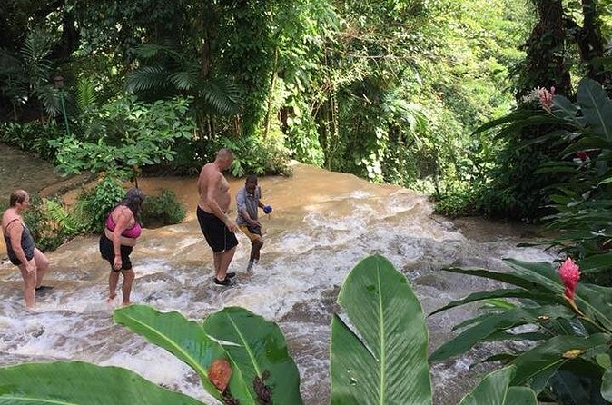 Konoko Falls and Tropical Garden Tour from Ocho Rios - Price and value: what you get for $96.16