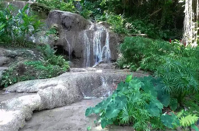 Konoko Falls and Tropical Garden Tour from Ocho Rios - Should you book Konoko Falls and Tropical Garden from Ocho Rios?
