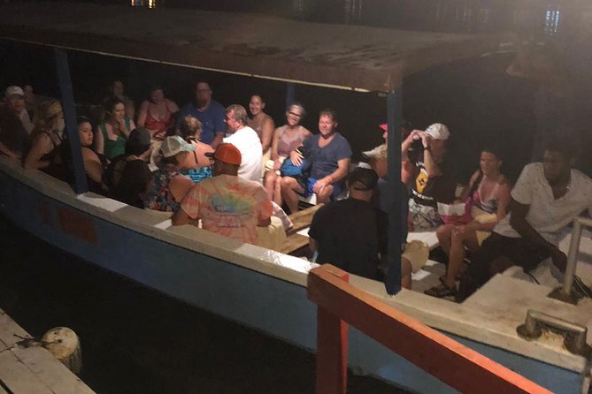 Luminous Lagoon After Dark Tour - What Happens After You Get Back to Shore