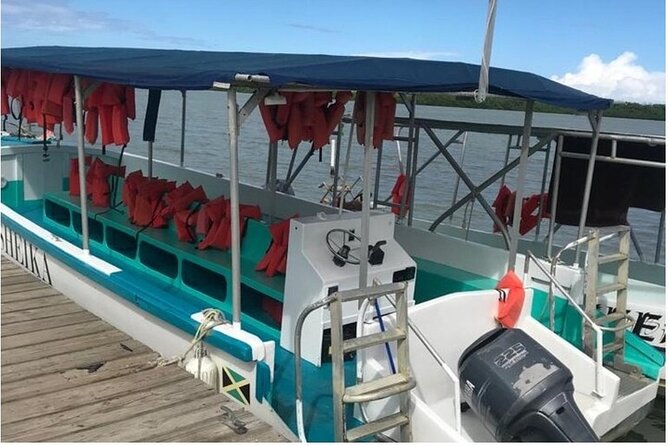 Luminous lagoon Dark night Tour from Ocho Rios and Runaway Bay Hotels - Why the darkest night gives you the biggest show