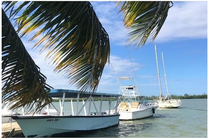 Luminous lagoon Dark night Tour from Ocho Rios and Runaway Bay Hotels - Small group size, boat capacity, and comfort tradeoffs