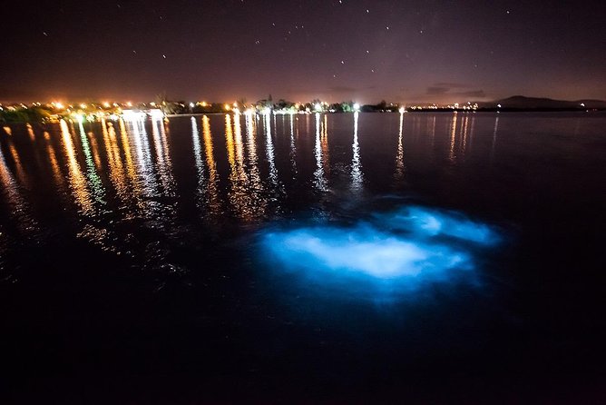 Luminous Lagoon Experience - The Luminous Lagoon Glows Because Biology Hits the Right Mood