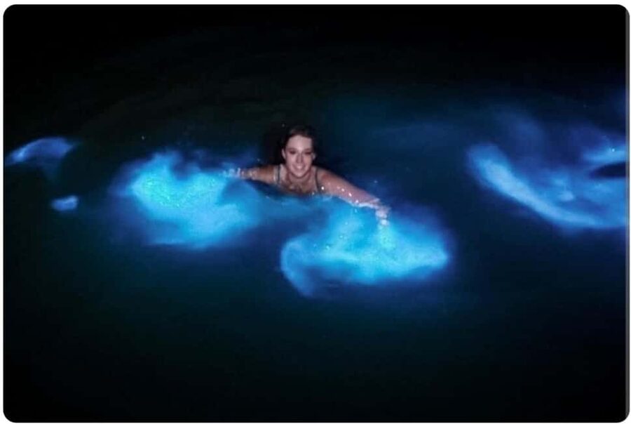 Luminous Lagoon Experience: Ocho Rios Runaway Bay & Falmouth - Key things to know before you go