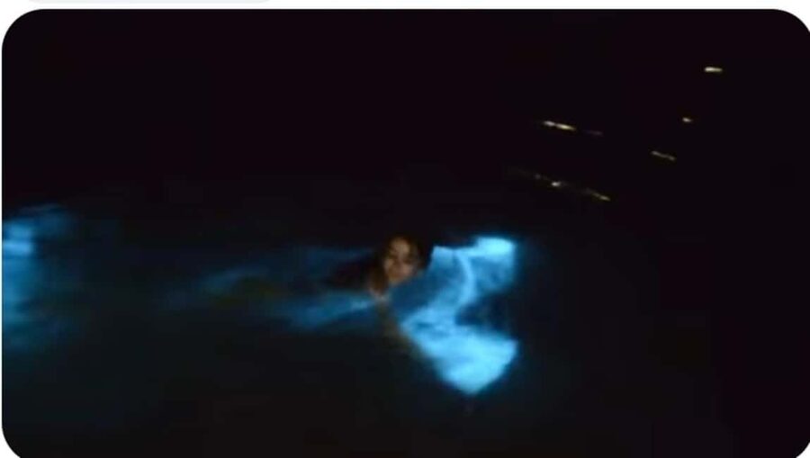 Luminous Lagoon Experience: Ocho Rios Runaway Bay & Falmouth - Getting there from Ocho Rios and Runaway Bay to Falmouth