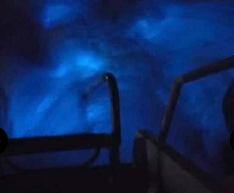Luminous Lagoon Experience: Ocho Rios Runaway Bay & Falmouth - The lagoon swim window: how to make the glow happen
