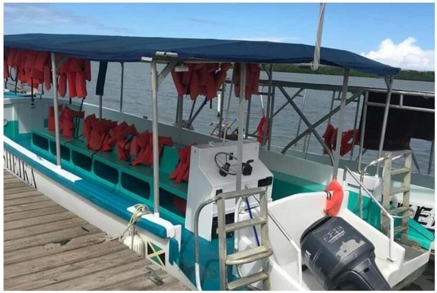 Luminous Lagoon Experience: Ocho Rios Runaway Bay & Falmouth - Should you book the Luminous Lagoon tour from Ocho Rios and Runaway Bay?