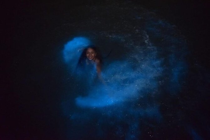 Luminous Lagoon (Glistening Waters) Night Tour - Price, Entry Fees, and Whether $100 Makes Sense