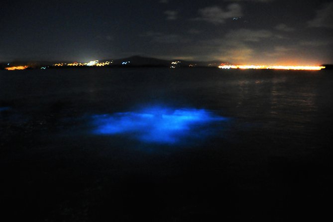 Luminous Lagoon "Glistening Waters" Tour from Grand Palladium Resorts - Weather and lagoon glow, how to protect your expectations