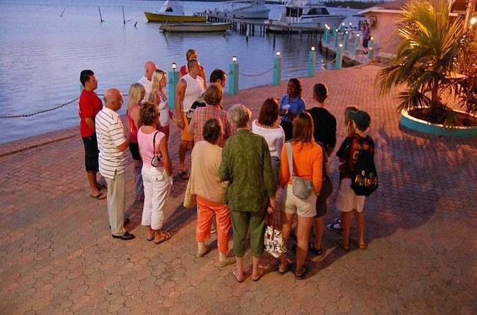 Luminous Lagoon Night Cruise From Montego Bay - Weather, timing, and plan B that does not ruin your trip