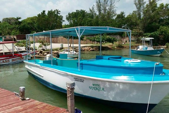 Luminous Lagoon Night-Time Tour from Montego Bay - The boat ride and lagoon swim: how to maximize the glow