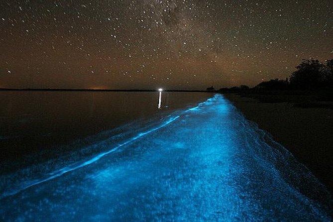 Luminous Lagoon Night-Time Tour from Montego Bay - Is it truly private? What you should expect with groups