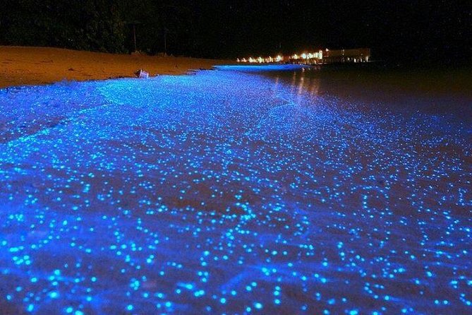 Luminous Lagoon Night-Time Tour from Montego Bay - The 3-hour flow from pickup to lagoon glow
