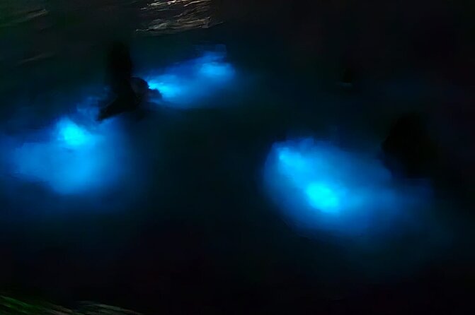 Luminous Lagoon Night Tour and Swim/Fire Dance from Montego Bay - Blue-Glow Lagoon at Dusk, what to expect
