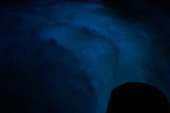 Luminous Lagoon Night Tour and Swim/Fire Dance from Montego Bay - The biggest risks to plan around