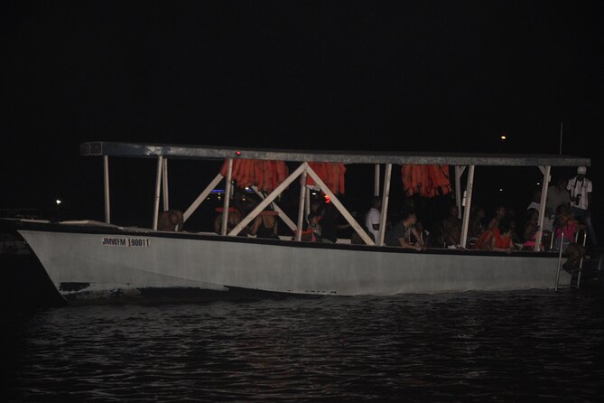 Luminous Lagoon Night Tour from Montego Bay - How the Luminous Lagoon Tour Fits a Montego Bay Evening