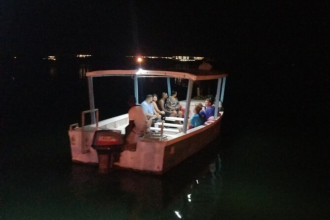 Luminous Lagoon Night Tour from Montego Bay - Value for $54: What You Get, What It Costs You in Time
