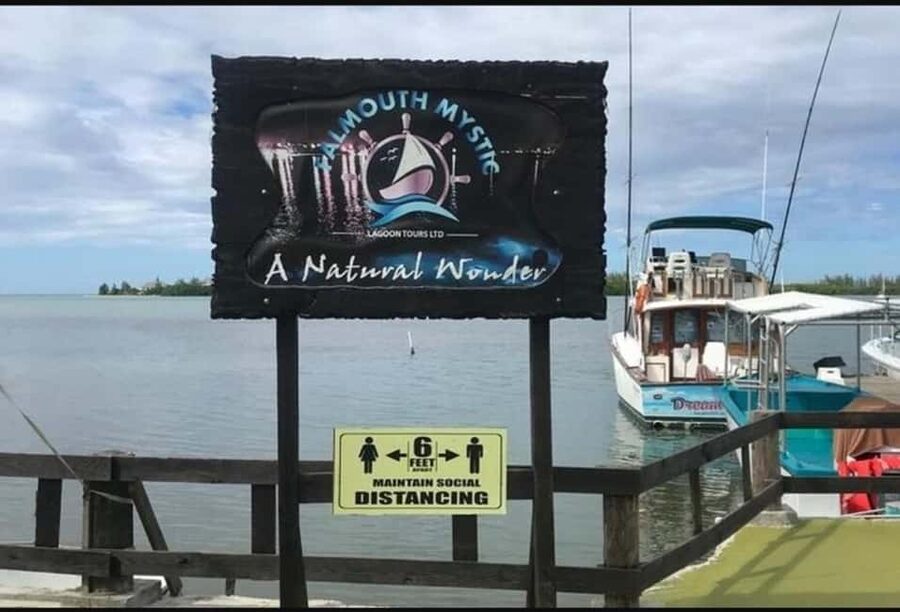 Luminous lagoon : Night Tour from Ocho Rios and Runaway Bay - Choosing the right night, moon phase, and weather reality
