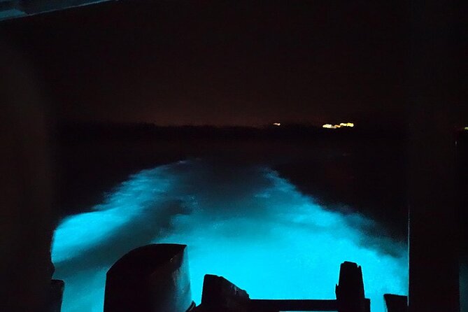 Luminous lagoon Night Tour Montego Bay - The guided folklore and the fire show after the lagoon