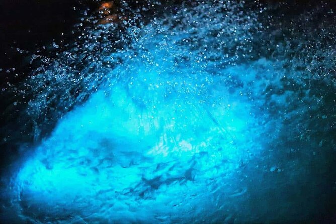 Luminous lagoon Night Tour Montego Bay - Small group feel: max 40 and why that matters at night