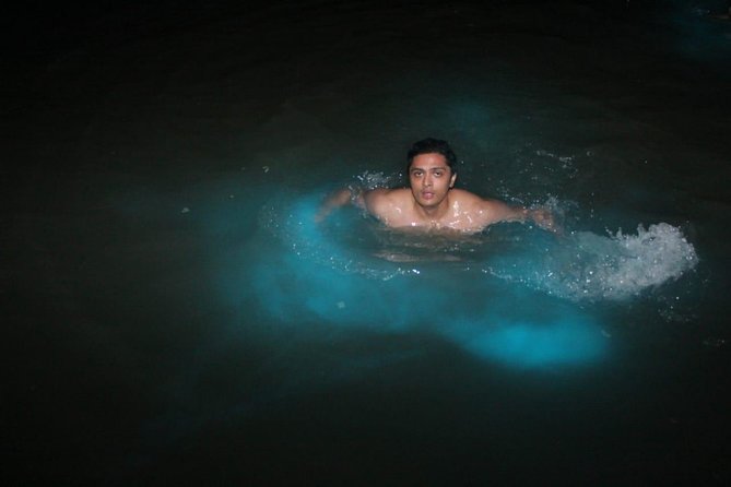 Luminous Lagoon Private Tour - Key Highlights to Know Before You Go