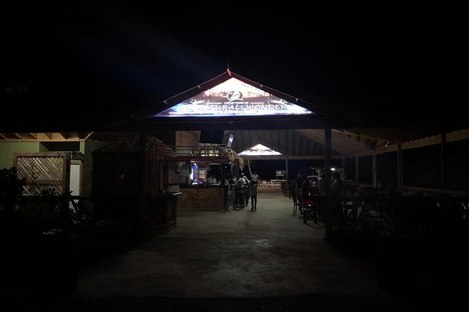 Luminous Lagoon Private Tour - The Short Fire Display: A Nice Night Cap Without Overstaying