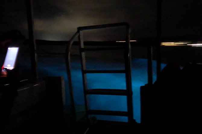 Luminous Lagoon Private Tour - What to Bring and How to Prepare for a Glowing Water Swim
