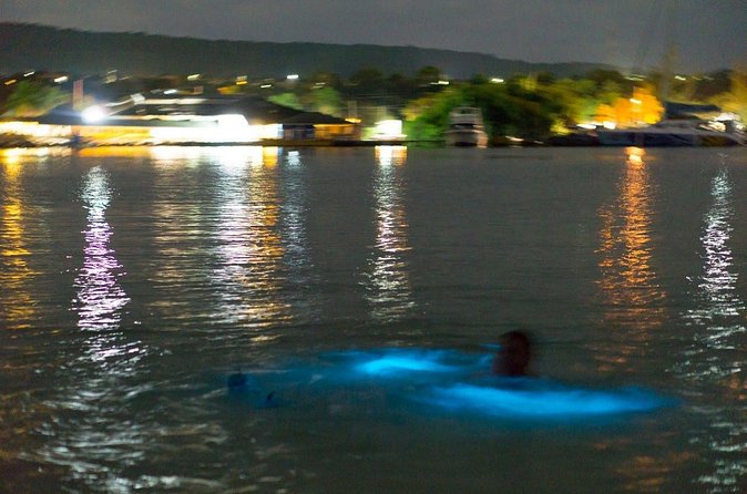 Luminous Lagoon Sightseeing Tour in Montego Bay - 6:00 pm pickup and the drive with Love Travel Jamaica