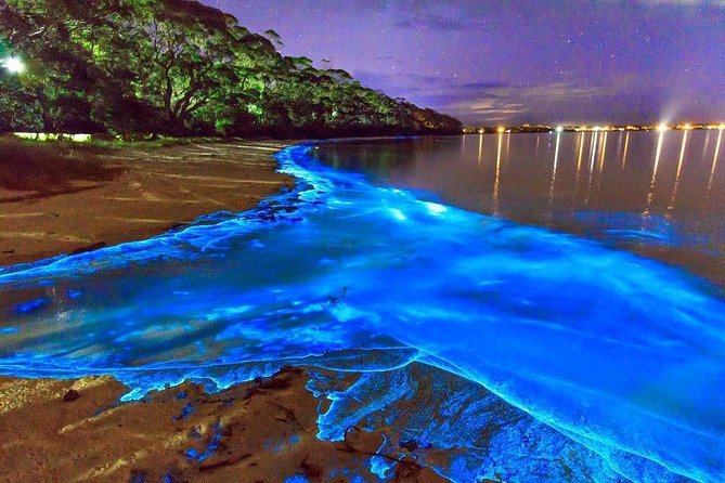 Luminous Lagoon Small Group Tour from Montego Bay - Key Things You Should Know Before You Go