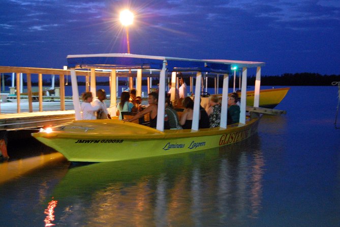 Luminous Lagoon Small Group Tour from Montego Bay - Why the Luminous Lagoon Fits a First-Time Jamaica Evening