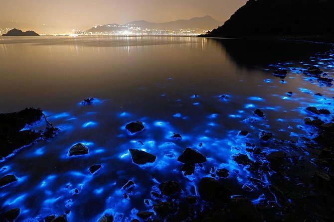 Luminous Lagoon Small Group Tour from Ocho Rios - Key Things You’ll Notice Right Away