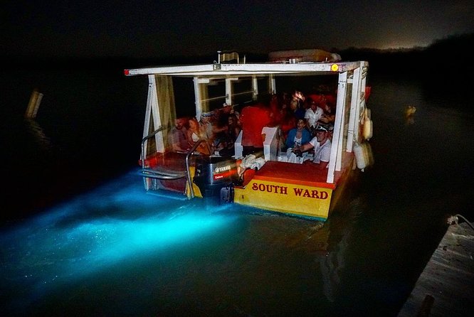 Luminous Lagoon Small Group Tour from Ocho Rios - Guides and Captains: Why the Explanation Makes It Better
