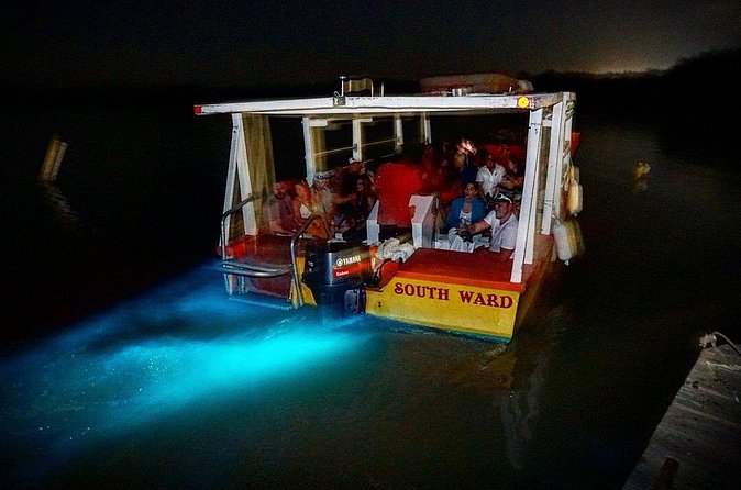 Luminous Lagoon Small Group Tour from Ocho Rios - Price and Value: Is $140 Per Person Worth It?