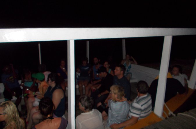 Luminous Lagoon Tour from Montego Bay & Rosehall Hotels - The boat ride to the Luminous Lagoon, run by your guide