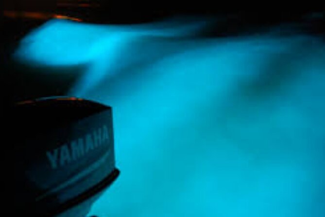 Magical Luminous Lagoon Private Tour - What to bring, how to plan your evening, and how to not miss the magic