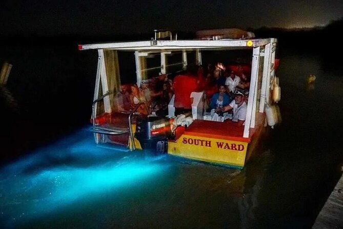 Magical Luminous Lagoon Private Tour - Getting there from Montego Bay without the headache