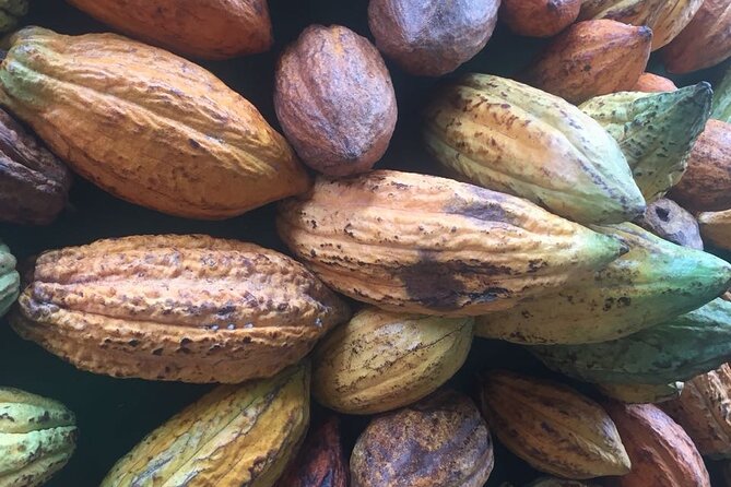 Make your own Bean to Bar Chocolate Factory Tour - Roasting Cocoa in Big Machines, and Why It Matters
