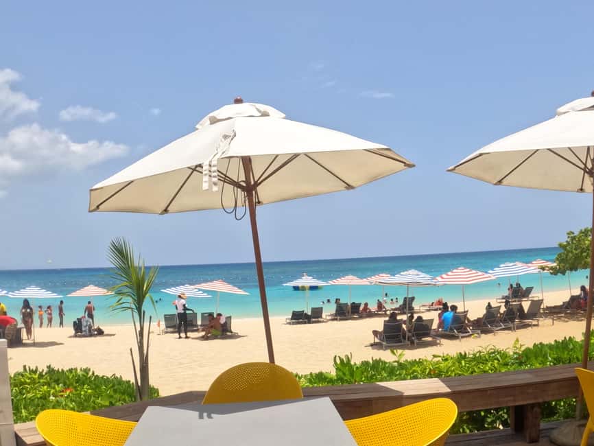 Marijuana Farm, Bamboo Rafting and Doctors Cave Beach Tour - The 30-Foot Bamboo Raft, Reggae Music, and a Certified Captain